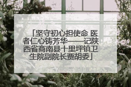 坚守初心担使命 医者仁心铸芳华——记陕西省商南县十里坪镇卫生院副院长贾胡委